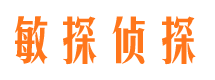 蓬安市私家侦探